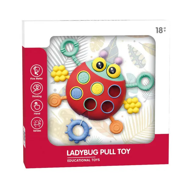 Ladybug Pull Toy