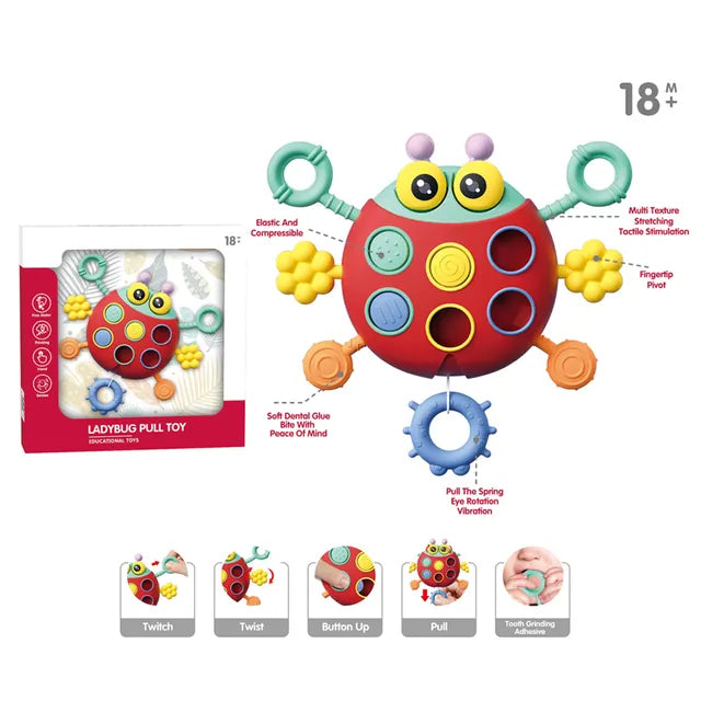 Ladybug Pull Toy